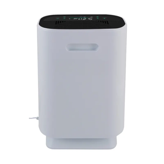 Очиститель воздуха Cooper&Hunter CH-P20W3i Pamir - 4